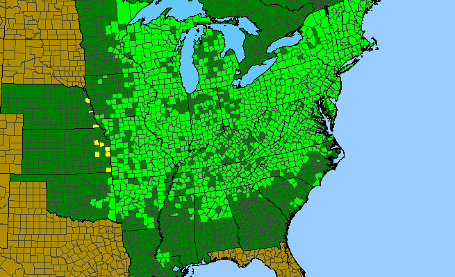 The range of Lobelia inflata